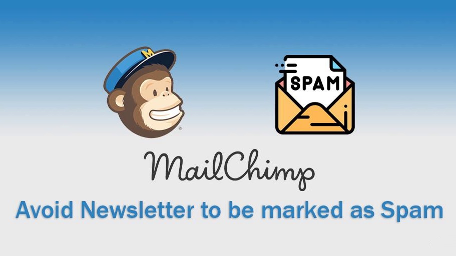 mailchimp email marketing software